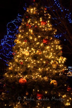 #235 Granville Island Christmas Tree DSC_0141