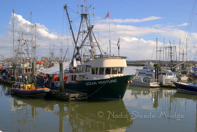 #248 Ocean Venture DSC_0583