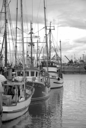 #336 Steveston Docks b&w DSC_2958