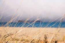 Freighter in the Fog